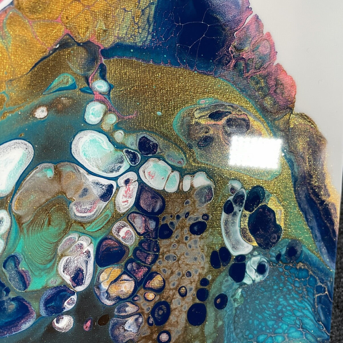 Cambrian Explosion